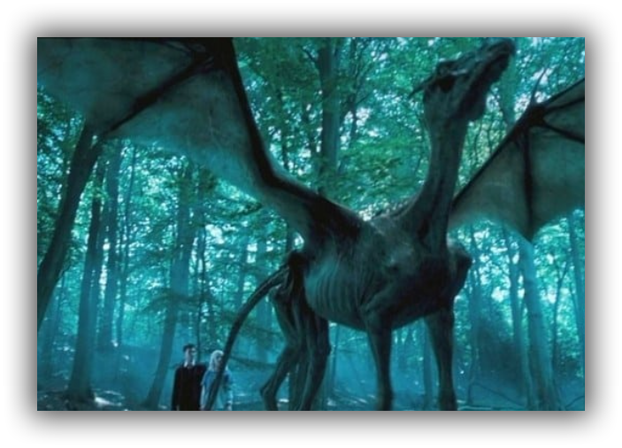 Harry and Luna with Thestral