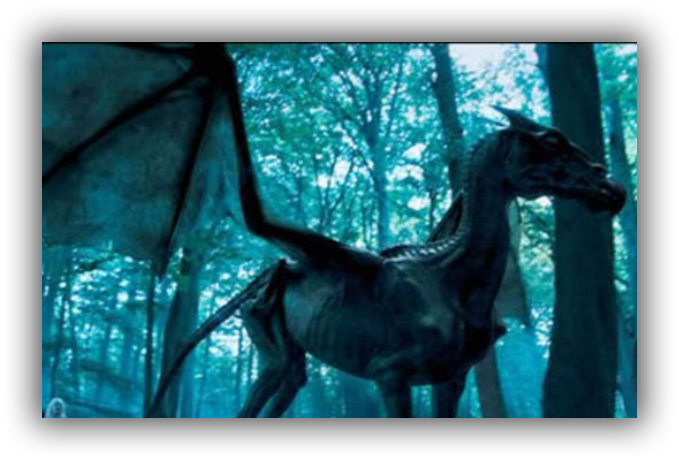 Thestral