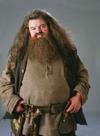 Rubeus Hagrid 