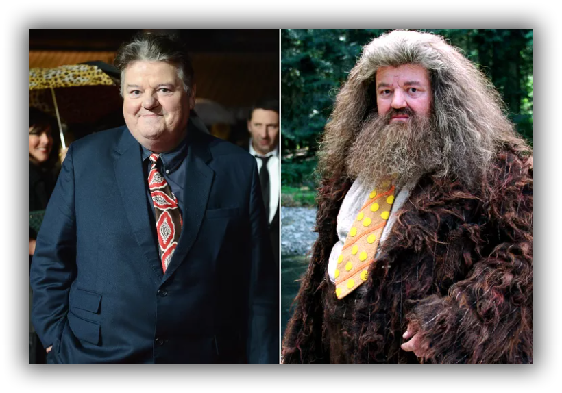 Robbie Coltrane as Hagrid