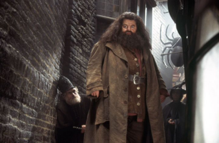 Rubeus Hagrid